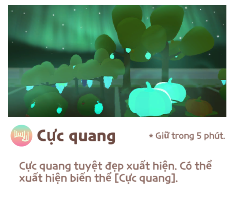 Cực quang