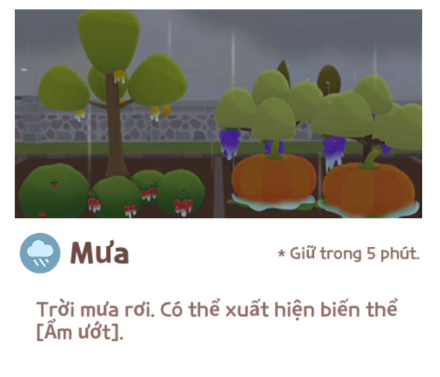 Mưa