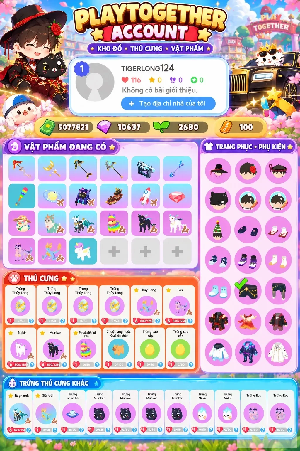 Account Image